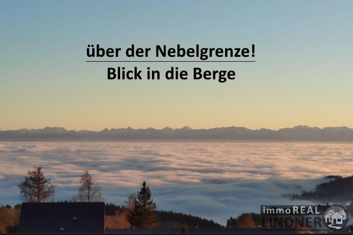 WOHNUNG 4202 Kirchschlag Immobilien-Nr.: 733